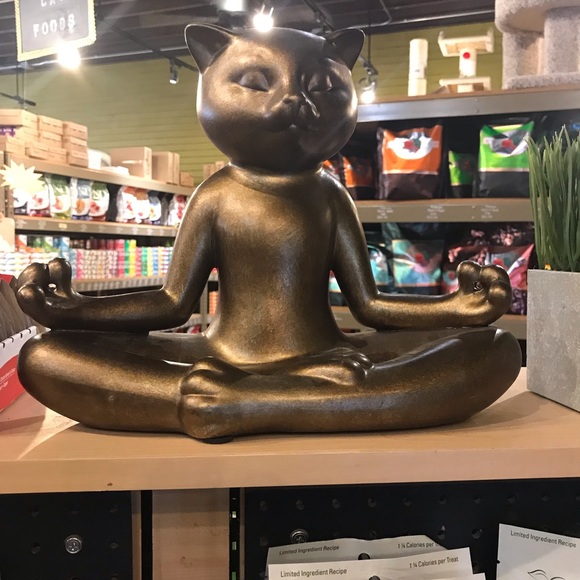 Meet your Posher, Deirdra - Picture 12 of 13